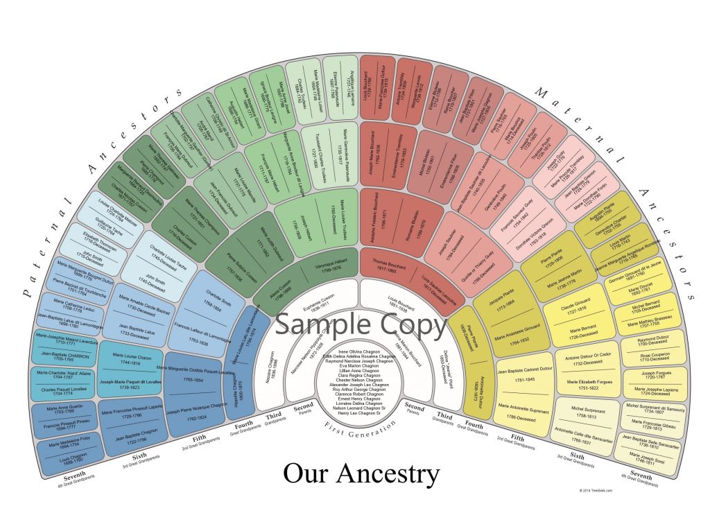 Give the Gift of Ancestry for Christmas This Year!